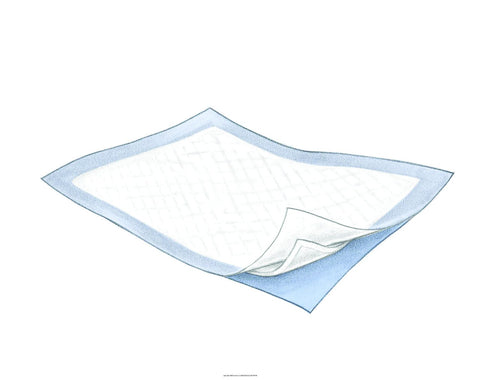 Tendersorb Underpads, Tendersorb Undrpd 17.5 X24, (1 CASE, 300 EACH)