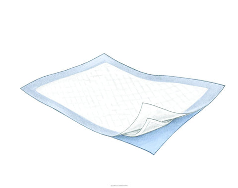 Tendersorb Underpads, Tendersorb Undrpd 23 X 36, (1 CASE, 150 EACH)