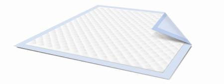 McKesson StayDry Light Underpads 23"x24" - 73423100