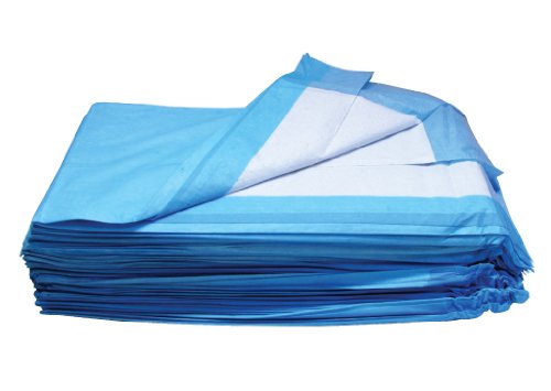 Disposable Underpads, 2 Ply, 300 Count #1340, 17"x24"