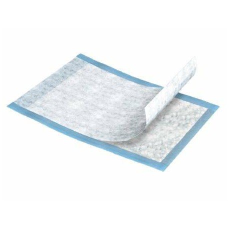 UPAD 17X24 REG CS/300 SCA INCONT