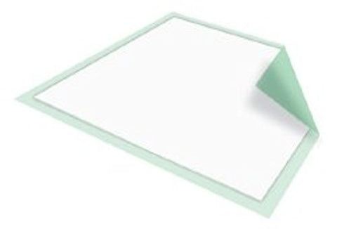 Upad Absorb 23X36 10Ea/Bg