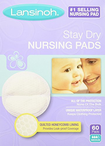 Lansinoh Stay Dry Disposable Nursing Pads, 60 Count Boxes (Pack of 4)