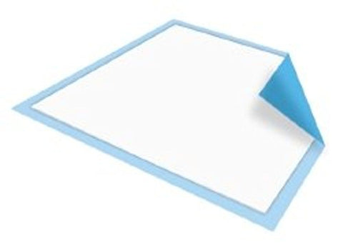 Underpad Heavy Absorbent 23X36 10Ea/Bg 6Bg/Cs