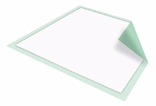 Underpad Absorbent 23X36 10Ea/Bg 15Bg/Cs